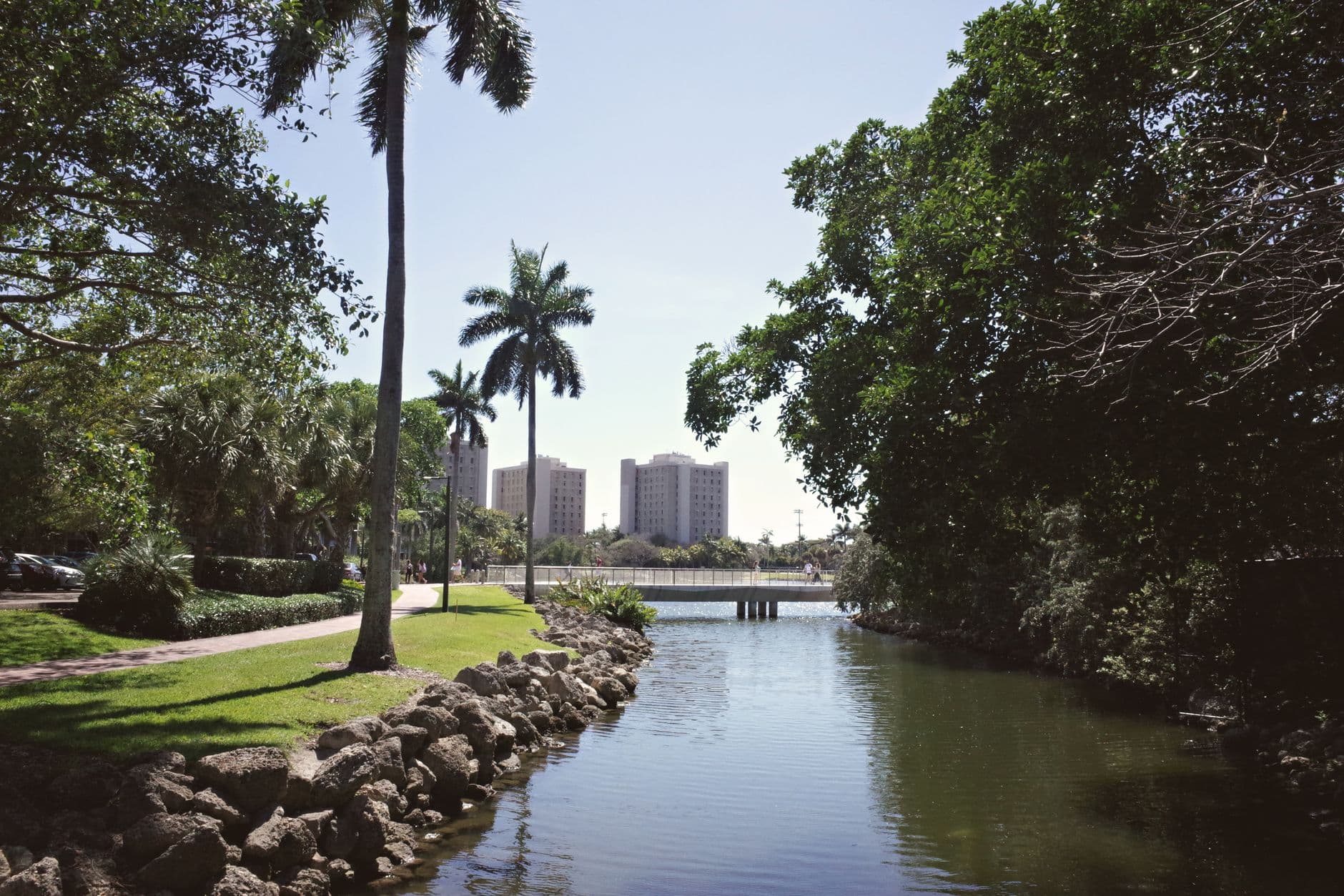 Tranquil university campus view with palm trees and water in Coral Gables, Florida.